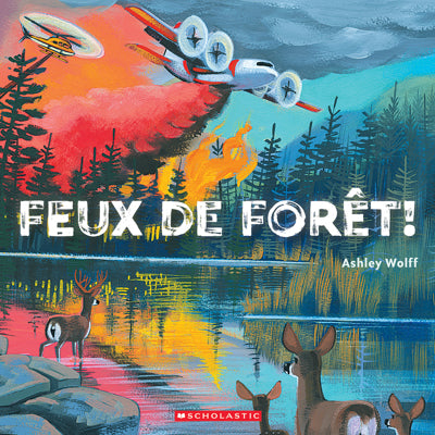 FEUX DE FORÊT