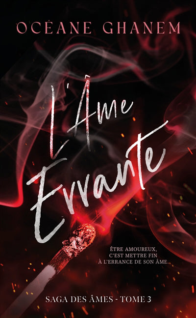 AME ERRANTE T03