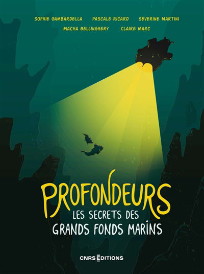 PROFONDEURS :LES SECRETS DES GRANDS FONDS MARINS