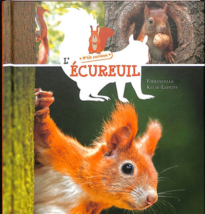ECUREUIL