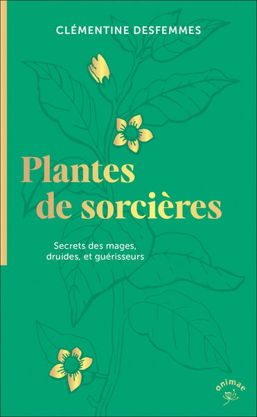 PLANTES DE SORCIERES  SECRETS DES MAGES, DRUIDES ET GUERISS