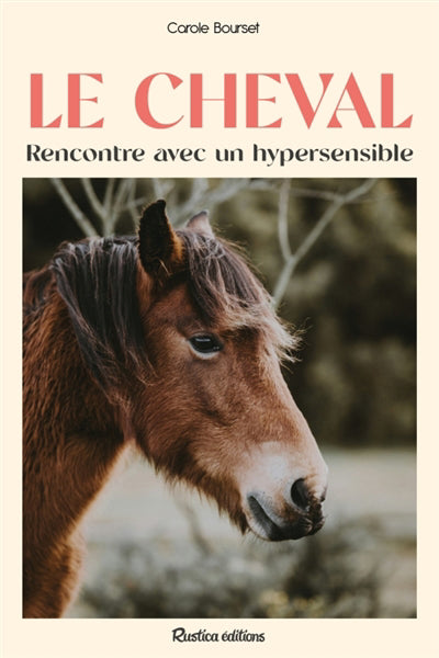CHEVAL LE  RENCONTRE AVEC UN HYPERSENSIBLE