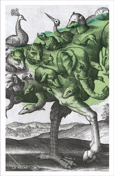 AUTOBIOGRAPHIE DE L'ESPRIT