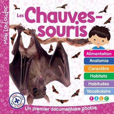 CHAUVES-SOURIS