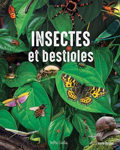 INSECTES ET BESTIOLES