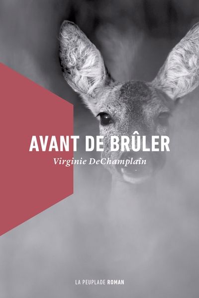 AVANT DE BRULER