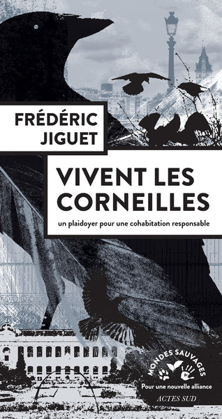 VIVENT LES CORNEILLES : PLAIDOYER POUR UNE COHABITATION RESPONSAB