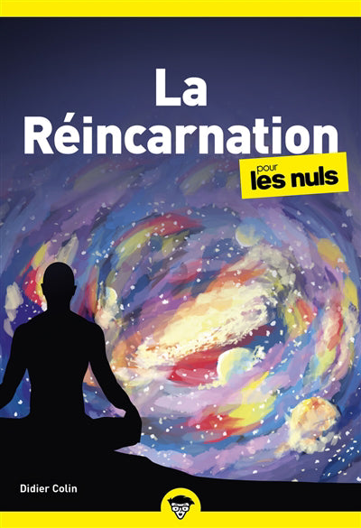 REINCARNATION POCHE POUR LES NULS