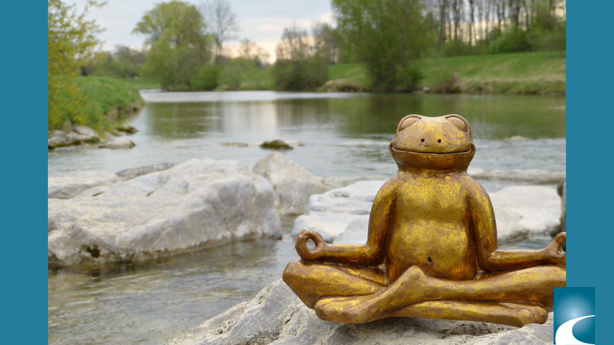 QUAND L'ANXIÉTÉ S'INVITE À LA FÊTE!