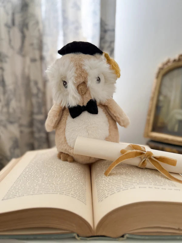 Le Hibou Diplômé en peluche - Mon Ami