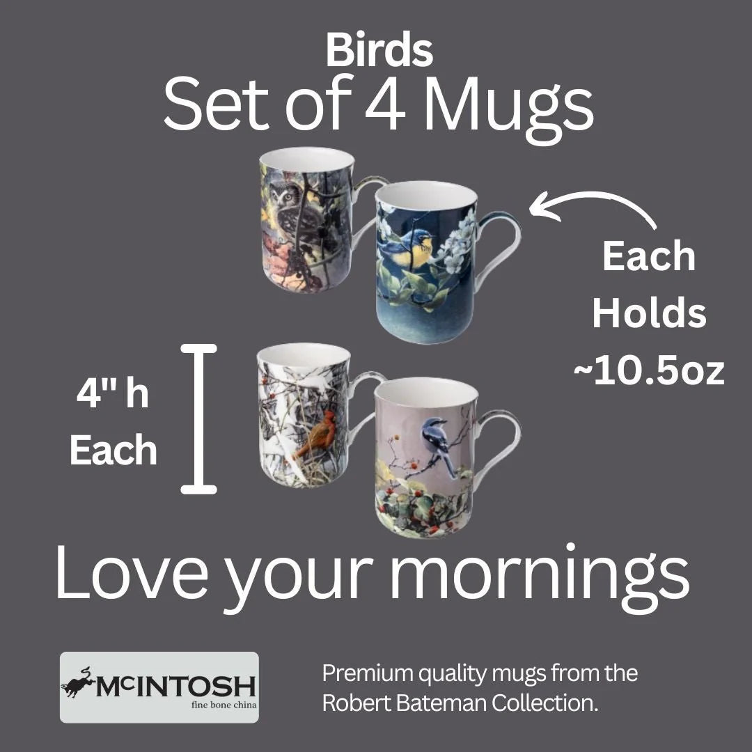 ENSEMBLE 4 TASSES ROBERT BATEMAN OISEAUX - MCINTOSH