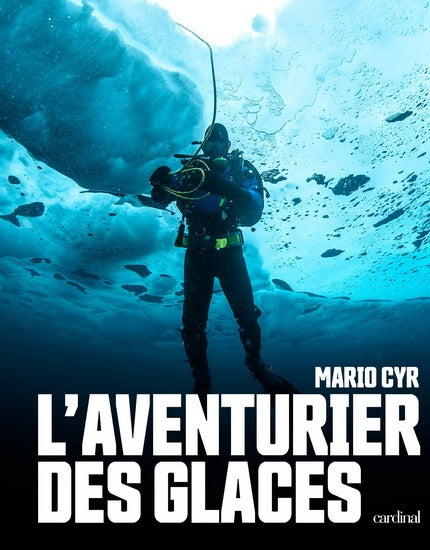 AVENTURIER DES GLACES