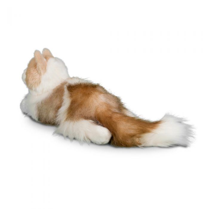 Kiki Chat Ragdoll – Douceur, réalisme et câlins à volonté | Douglas Cuddle Toy