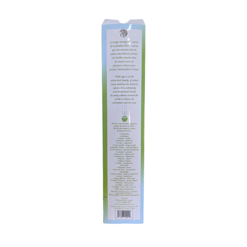 Sauge blanche – Purification, tradition et énergie positive