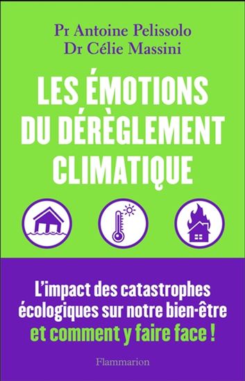 EMOTIONS DU DEREGLEMENT CLIMATIQUE : L'IMPACT DES CATASTROPHE