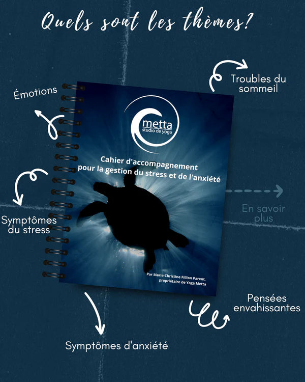 CAHIER D'ACCOMPAGNEMENT POUR LA GESTION DU STRESS ET DE L'ANXIETE | MARIE-CHRISTINE FILLION-PARENT