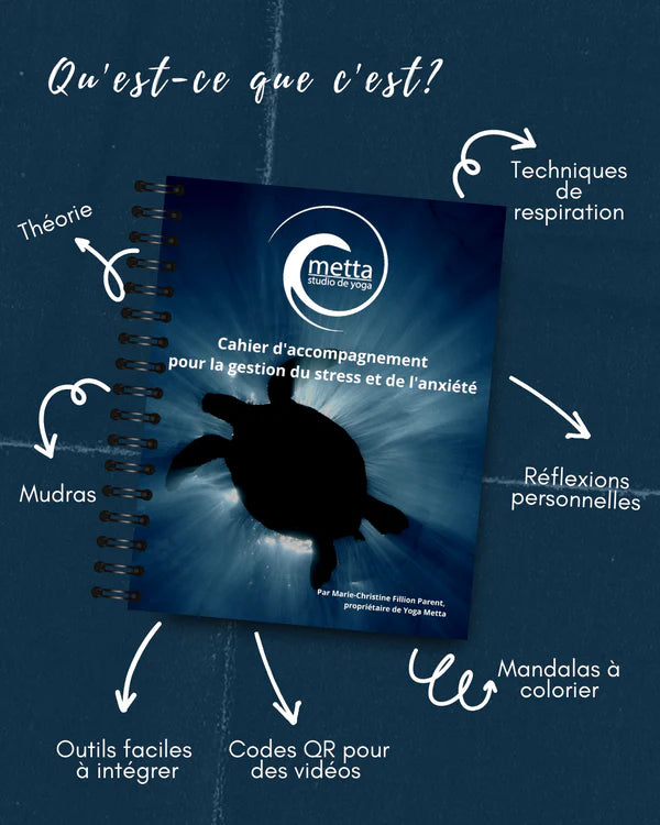 CAHIER D'ACCOMPAGNEMENT POUR LA GESTION DU STRESS ET DE L'ANXIETE | MARIE-CHRISTINE FILLION-PARENT