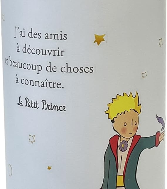 BOUTEILLE ISOTHERME PETIT PRINCE "J`AI DES AMIS..."