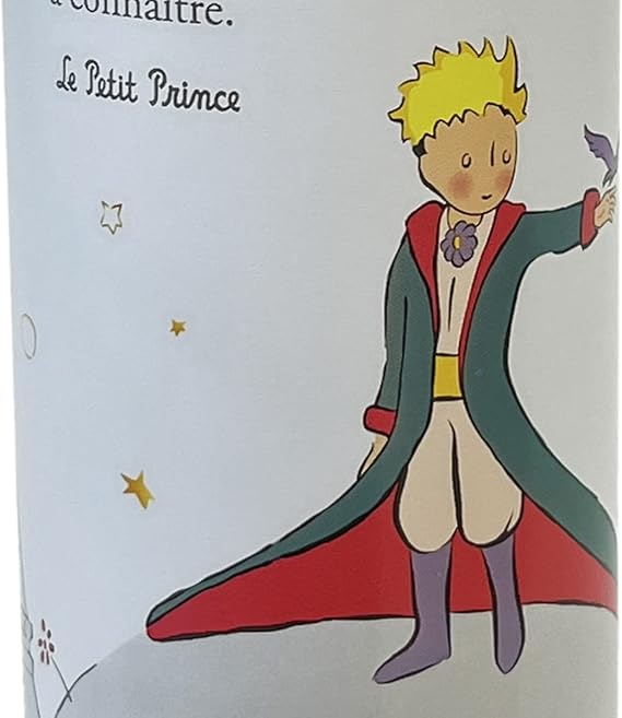 BOUTEILLE ISOTHERME PETIT PRINCE "J`AI DES AMIS..."