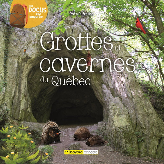 GROTTES ET CAVERNES DU QUEBEC