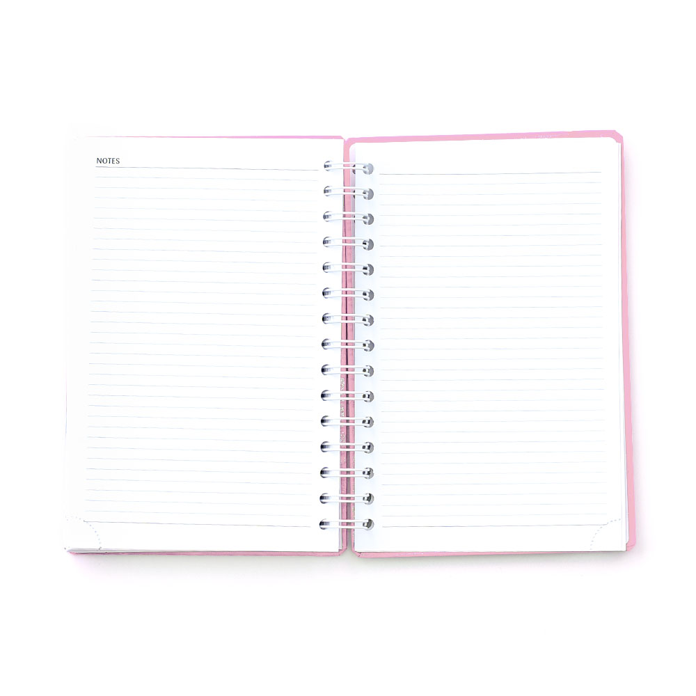 AGENDA 2025 EURO ROSE - PAGES DE NOTES