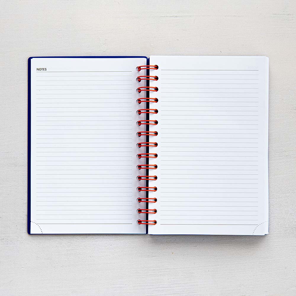 AGENDA ANNUEL 2025 EURO BLEU - PAGES DE NOTES