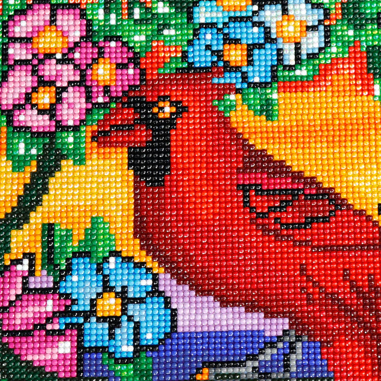 BRODERIE DE DIAMANTS : CARDINAL | JACAROU