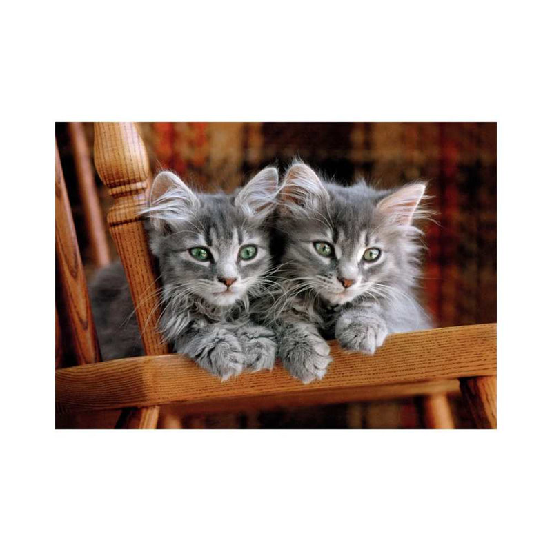CASSE-TETE CHATONS 500 PIÈCES | PIERRE BELVÉDÈRE
