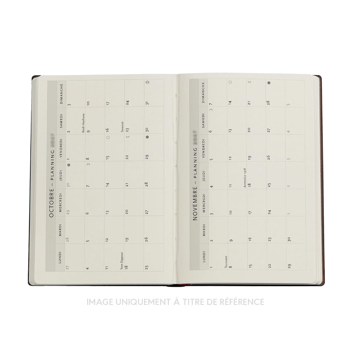 Agenda 2027 Wildflower Song - Format mini - Paperblanks