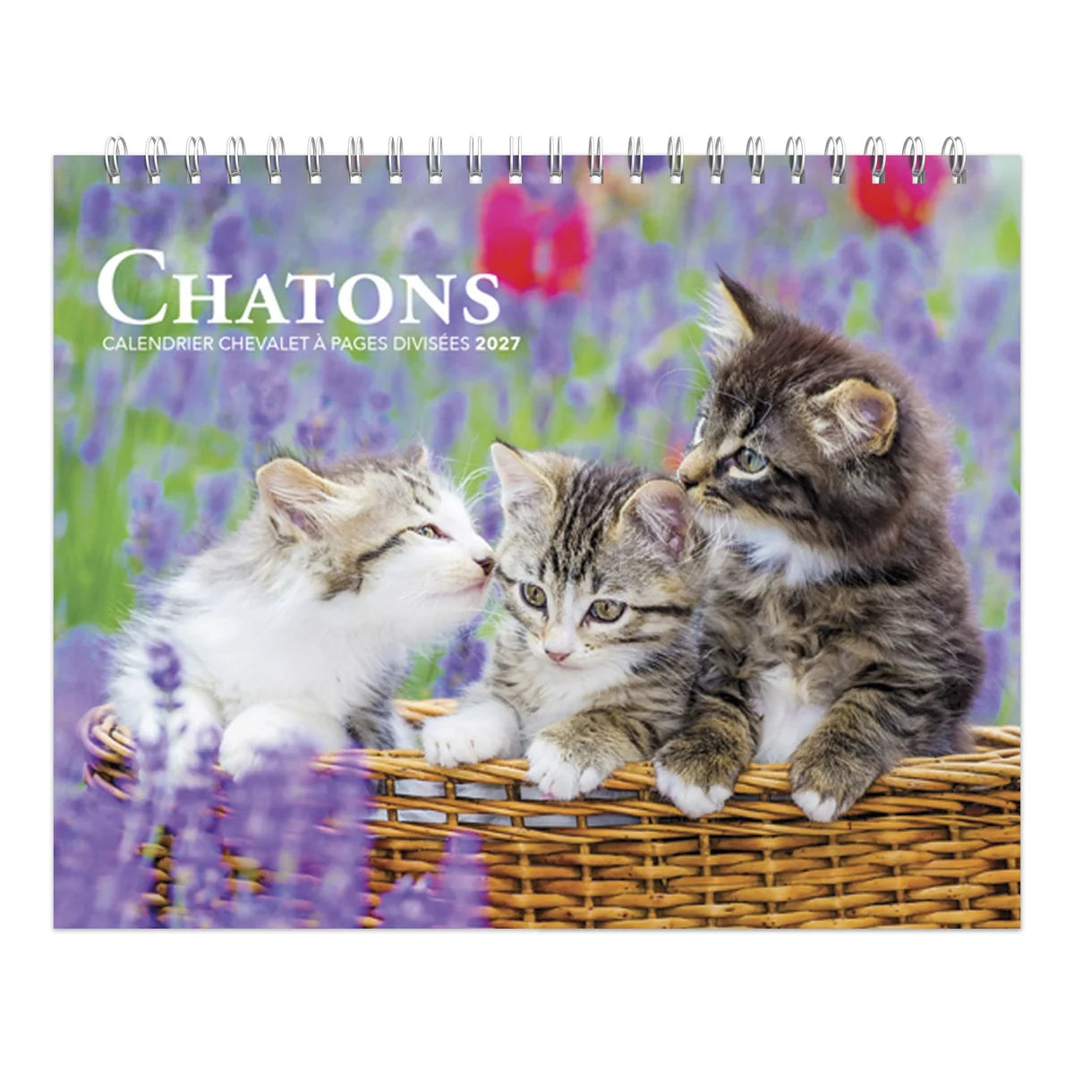 CALENDRIER DE TABLE 2027 CHATONS