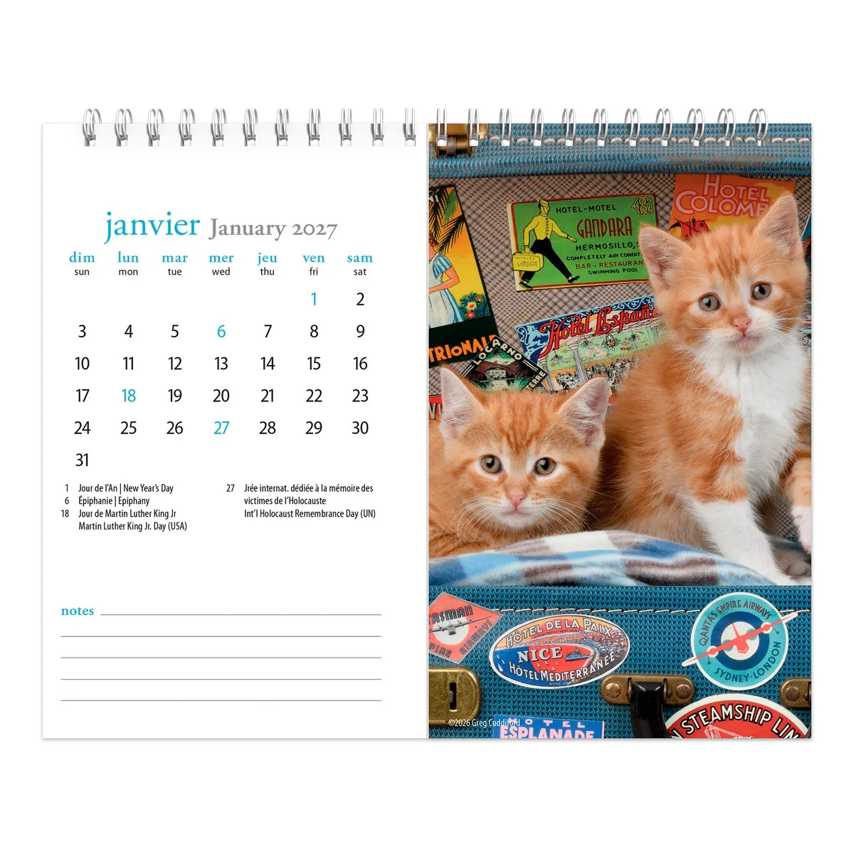 CALENDRIER DE TABLE 2027 CHATONS