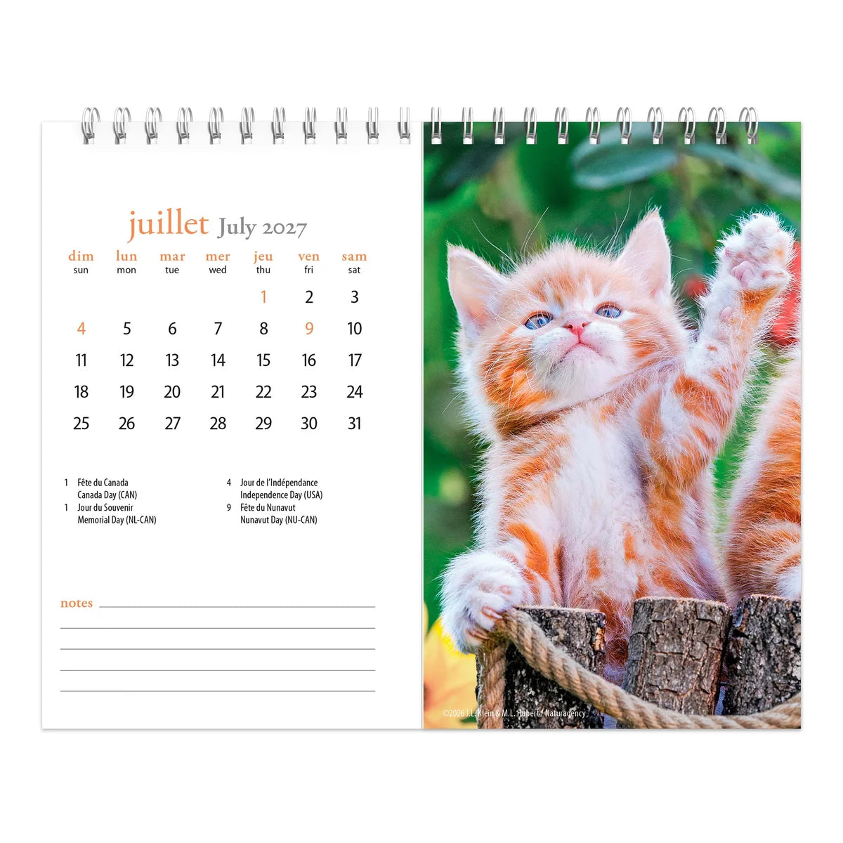 CALENDRIER DE TABLE 2027 CHATONS
