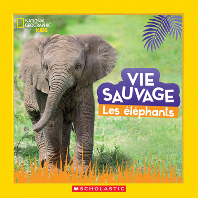 VIE SAUVAGE LES ÉLÉPHANTS | NATIONAL GEOGRAPHIC KIDS