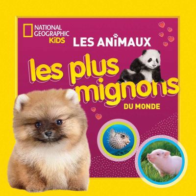 Animaux les plus mignons du monde