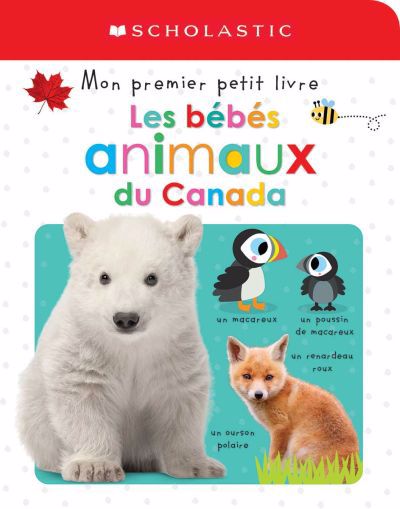 BEBES ANIMAUX DU CANADA
