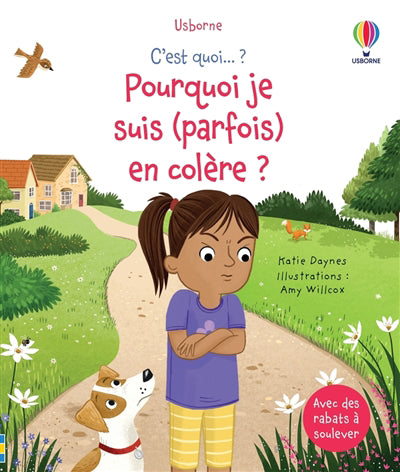 POURQUOI JE SUIS (PARFOIS) EN COLERE