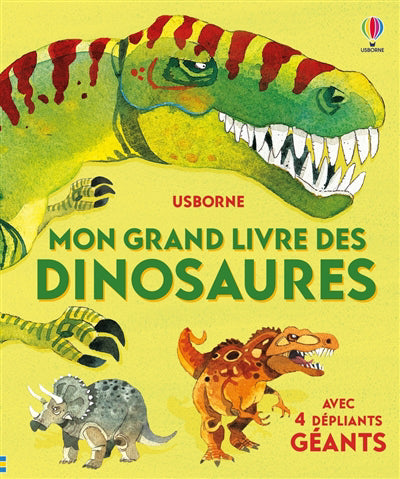 MON GRAND LIVRE DES DINOSAURES - DES 4 ANS