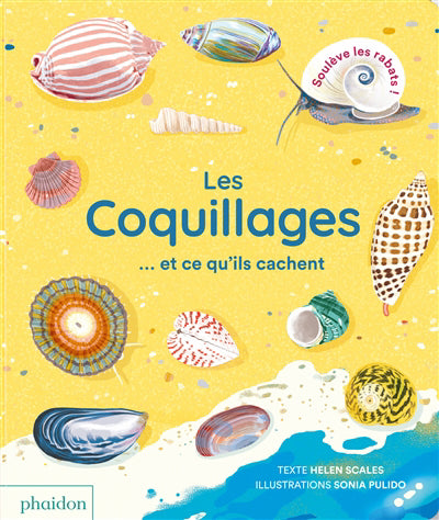 COQUILLAGES ET CE QU'ILS CACHET