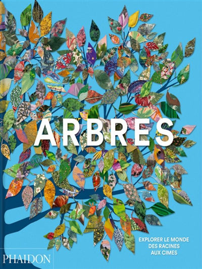 ARBRES - EXPLORER LE MONDE, DES RACINES AUX CIMES - ILLUSTRATIONS