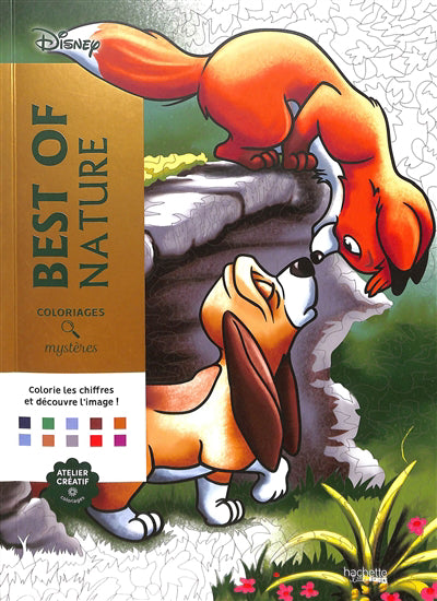 Best of nature : colorie les chiffres et découvre l'image 10 nov