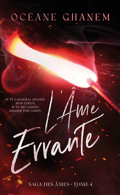 AME ERRANTE T04