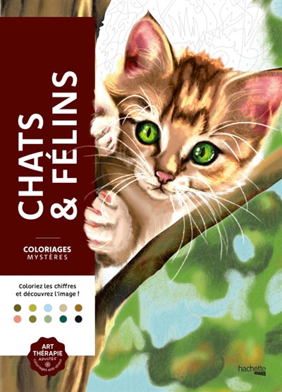 CHATS ET FELINS -COLORIAGES MYSTERES