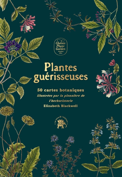 PLANTES GUERISSEUSES