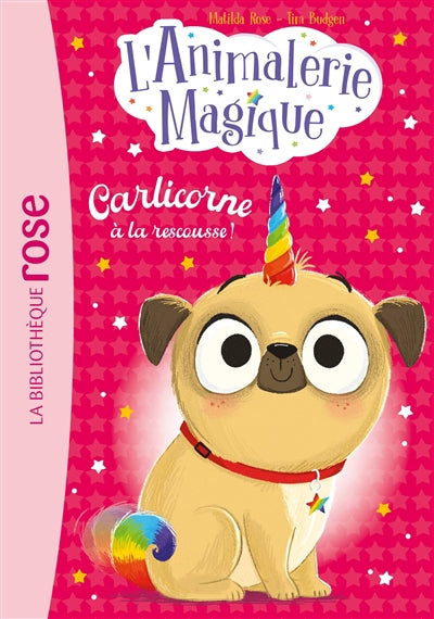 ANIMALERIE MAGIQUE T01