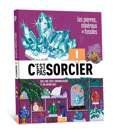 PIERRES MINERAUX..FOSSILES -C'EST PAS...