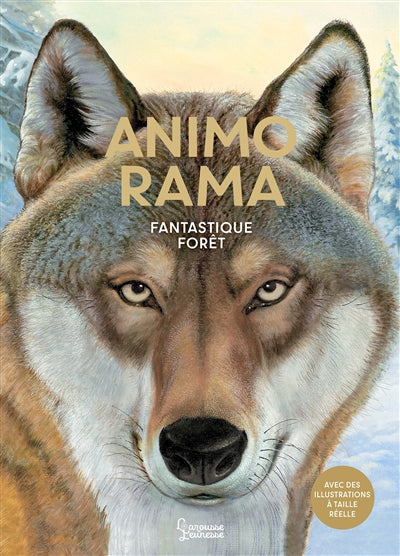 ANIMORAMA -FANTASTIQUE FORET