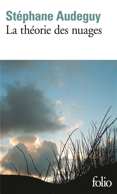THEORIE DES NUAGES