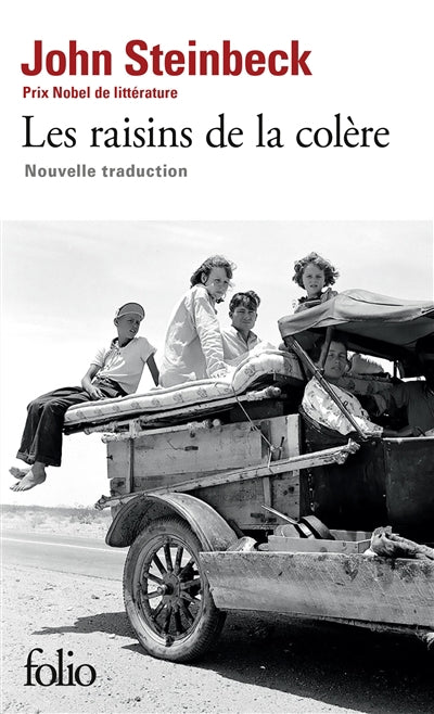 RAISINS DE LA COLERE