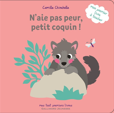 N'AIE PAS PEUR, PETIT COQUIN !