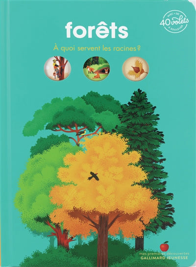 FORETS A QUOI SERVENT LES RACINES?